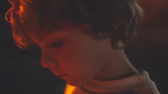 Glass Animals - Youth