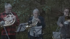 Dalur(Island Songs V)