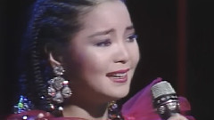 邓丽君 - つぐない