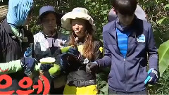 Yuri吃没熟的木瓜