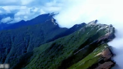 旺姆 - 大美西藏