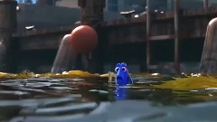 影视原声 - 电影<海底总动员2:多莉去哪儿> 预告片4