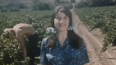 The Seekers - Turn Turn Turn