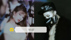 G-Dragon(BigBang),金泫雅 - Wolf