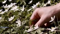 Giovanni Marradi - Feelings