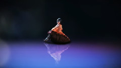 大原樱子 - 我不会忘记你