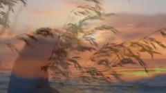 Ernesto Cortazar - It's Impossible