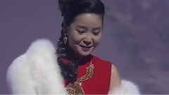 邓丽君 - 时の流れに身をまかせ