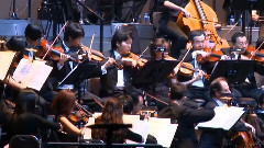 Tchaikovsky - The Sleeping Beauty : Waltz