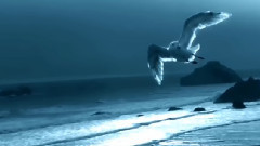 Там нет меня