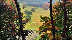 Steve Barakatt Collection VIDEOARA