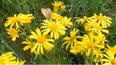 летняя прохлада Байкала