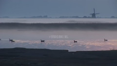 电影舍尔和街坊