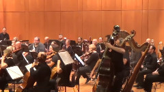 Symphony No. 1, Mahler. Movement 2