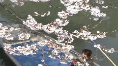 民乐群星 - 到春来(轻六) 潮州音乐