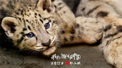 电影<我们诞生在中国>