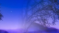 Душа на двоих