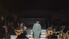 石川さゆり - 转がる石2006