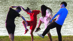 鸭打鹅 - 幻灭国度