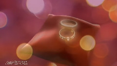 Take My Hand (Album Echoes Of Love)