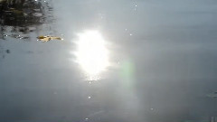 Secret Garden - Reflection