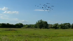 If I Could See You Again