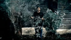 Absolute Beginner - Fuchse