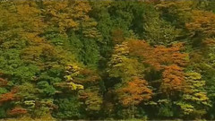 莫斯科郊外的晚上(口哨)