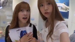 寻找动画同纹行动 海底总动员2