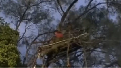 Yuri被雨淋湿 走到火堆旁睡觉