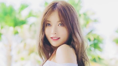 喇叭花(Morning Glory 牵牛花)