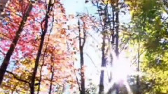 Giovanni Marradi - Nostalgie