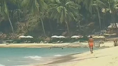 月亮代表我的心(笛子)