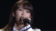 桜の花びらたち