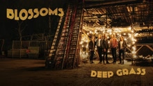 Blossoms - Deep Grass 试听版