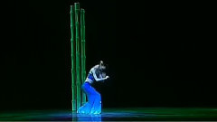 月光下的凤尾竹