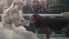 Coldplay,影视原声 - Viva La Vida