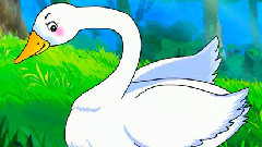 丑小鸭与白天鹅