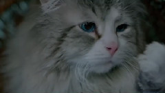 影视原声 - 电影<九条命>宣传片之毛裤先生变DJ秀舞步