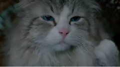 影视原声 - 电影<九条命>制作特辑之十项全能