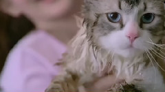 影视原声 - 电影<九条命>中文版预告片1