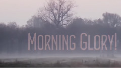 What's The Story Morning Glory!