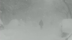 The Weeknd - Wild Love