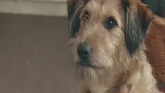 影视原声 - 电影<魔法老师>终极预告片