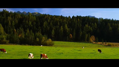 奥地利阮绍和达赫斯坦旅游指南