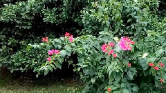 期待和你再相遇