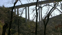 贝多芬第二交响曲