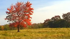 新英格兰旅游视频指南