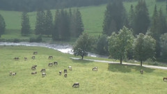 瑞士伯尔尼高原 格罗斯沙伊代格