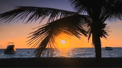 Flowing With the Tea